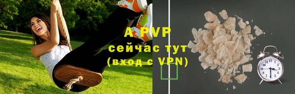 стаф Баксан
