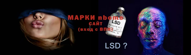 стаф Баксан
