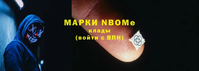 стаф Баксан