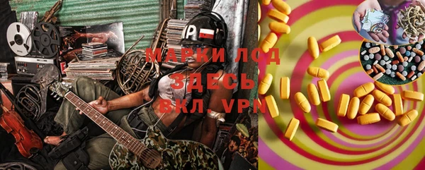 стаф Баксан