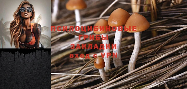 2c-b Балабаново