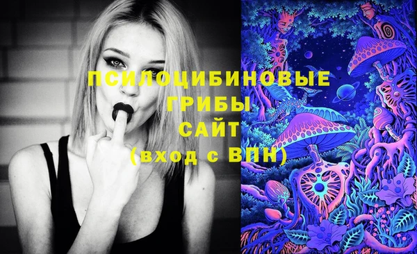 2c-b Балабаново